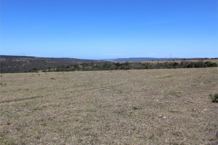 5 Bedroom Property for Sale in Mooiplaas Eastern Cape